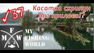 37) My Fishing World Касатка скрипун без прилова!?