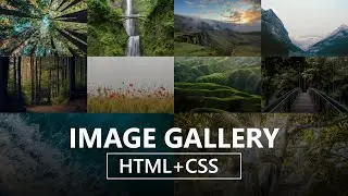 How To Create Image Gallery Using HTML And CSS With Hover Effect || HTML And CSS Tutorials