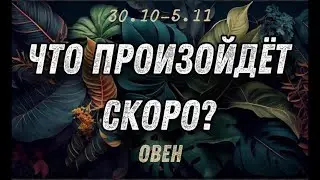 ОВЕН 🍀Таро прогноз на неделю (30.10- 5 ноября). Расклад от ТАТЬЯНЫ КЛЕВЕР.