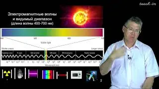 Дубынин В. А. - 100 часов школьной биологии - 1.20 Зрительная чувствительность