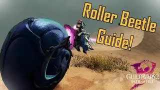 Guild Wars 2 - Roller Beetle Guide & Race!