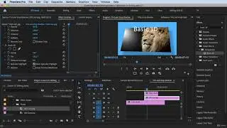 How to Do Basic 3D#Adobe Premiere Pro Complete Video Editing Masterclass