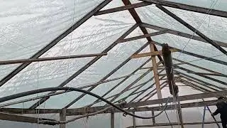 Посівна 2023, як пережила наша теплиця зиму. 
