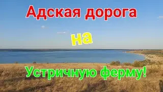 Адская дорога на устричную ферму. Тилигульский лиман. Устрицы Скифии. Ойстервиль. Тилигул.
