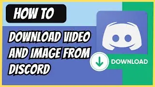 How to Download Video and Image from Discord (2024 Guide)