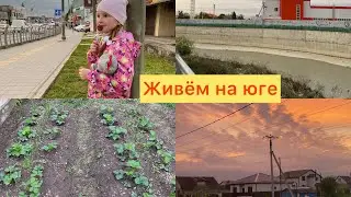 Дом на юге🏠1️⃣8️⃣5️⃣К стоматологу😰Высадила цветы🌺Что с РЕКОЙ?!Сброс воды в р.Кубань 🙄