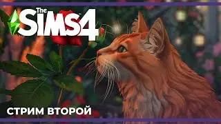 Котики, цветы и Рейнольдс | The Sims 4 #2 (17.03.2024)
