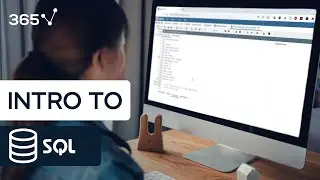 Introduction to SQL | 365 Data Science Courses