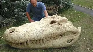 The Giant Caiman That Bit Harder Than T. Rex - Purussaurus