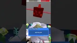 Completing Riley bee's 210th Quest | Roblox Bee Swarm Simulator
