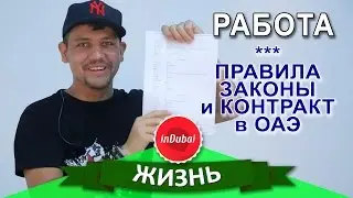 Работа в Дубае. Контракт, законы и труд в Эмиратах. Памятка - устройство на работу в ОАЭ.