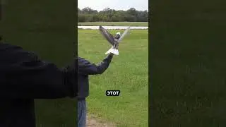 Дрон в виде птицы 