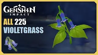 ALL 225 Violetgrass Locations | Efficient Farming Route | Genshin Impact