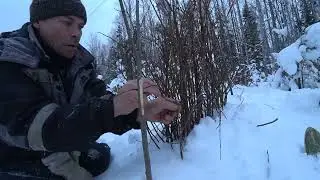 Ставим петли на куропатку.