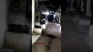 DILUAR PREDIKSI🤣👻 