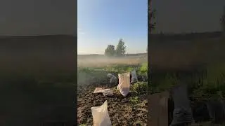 3 сентября
