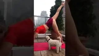How Women Stretch and Split on Instagram - 036 - vegilates - Anastasia Vegilates