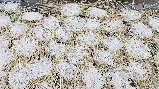 || पारंपारिक पद्धतीच्या गहूच्या कुरड्या  रेसिपी ✨💖||#explore #youtube #volg #trending