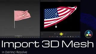 Import 3D Animation in DaVinci Resolve