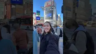 How to have the Japan trip of your DREAMS