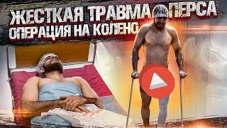 Персидский Дагестанец травма. Операция на колено. Дата боя с Чоршанбе