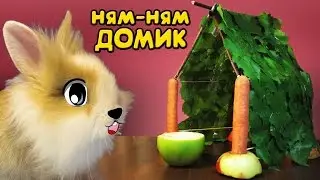 КРОЛИК БАФФИ и ВКУСНЫЙ ДОМ! ДЕЛАЕМ ДОМИК СВОИМИ РУКАМИ! DIY на русском 2017 !  МИЛАШКА БАФФИ