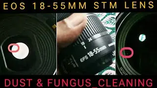 How to Clean Canon EF 18-55 mm STM Lens /Dust & Fungus Clean & Disassembly #canonkitlens #canonlens