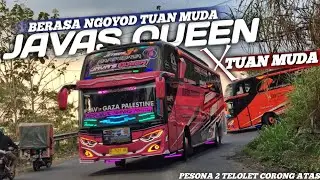 BERASA TUAN MUDA ?! TELOLET BUS ANEKA BINTANG  JAVAS QUEEN