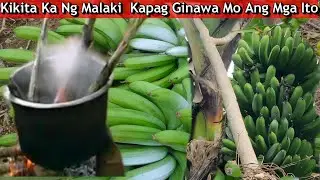 10 TIPS na Dapat mong Gawin Para Kumita ng Malaki sa mga Tanim mong Lakatan(Planting to Harvesting)