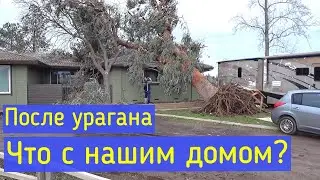 Дерево упало на наш дом