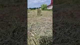Тюки из сена а не соломы. Круто!