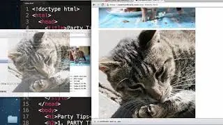 How to Add An Image in HTML | Part 6 of 6