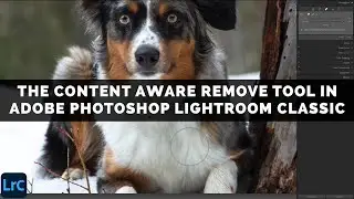 The Content Aware Remove Tool In Adobe Photoshop Lightroom Classic