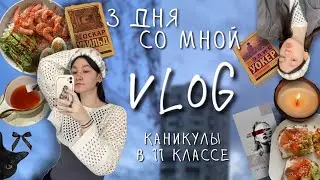 vlog дни со мной, каникулы, подготовка к экзаменам и прогулки с друзьями || zalem