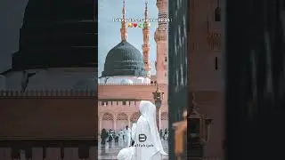 Apapun Masalahnya Allah punya solusinya