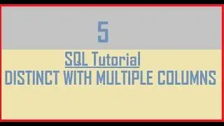 Tutorial 5 : SQL DISTINCT Keyword with multiple columns