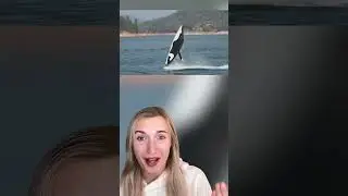 CRAZY THINGS MONEY CAN BUY!😲