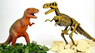 Динозавр T-REX - Играем в археологов. Развивающие видео для деток