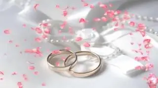 Летят лепестки роз   кольца   wedding   футаж   mp4