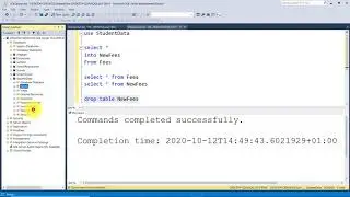 SQL Tutorial with Microsoft SQL SERVER | Copy table, existing and computed columns with Select Into