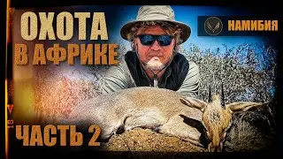 ОХОТА В АФРИКЕ | ЧАСТЬ 2 | ОХОТА С ДЕНИСОМ МОРОЗОВЫМ