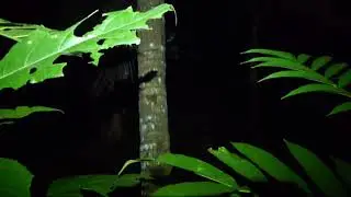 nggak di harapkan malah keluar beneran,buset