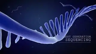 Next Generation Sequencing Analysis - Intro Animations Supercut [3D, Cinema 4D]