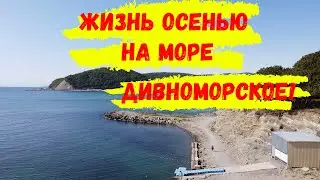 КАК ЖИВУТ ЛЮДИ НА МОРЕ ОСЕНЬЮ? Дивноморское - жизнь на море.