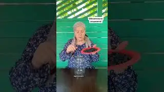 11 июня 2023 г.