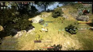 Сбор как заработок в BlackDesert ч.2 +бонус