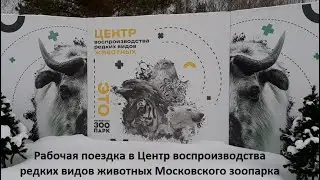 Рабочая поездка в Центр воспроизводства редких видов животных Московского зоопарка.