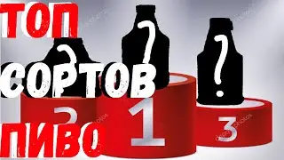 ТОП 4 сорта ПИВО! Посоветовать пиво новичку?