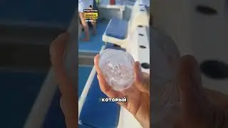 СТРАННОЕ СУЩЕСТВО