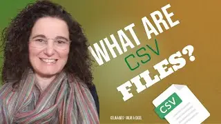 What are CSV files?